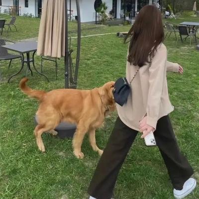 红色小队